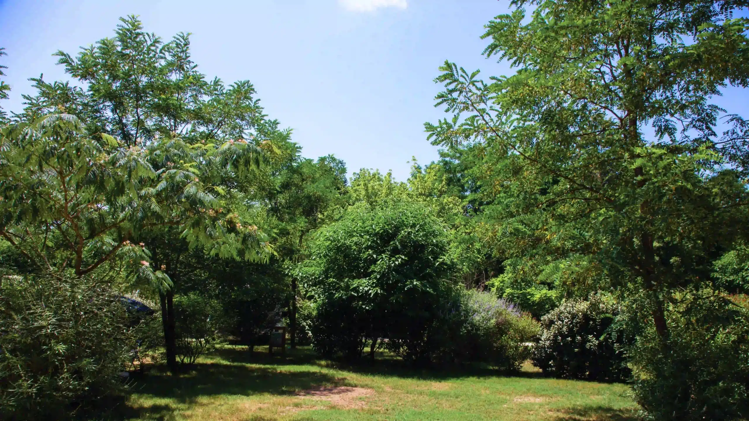 emplacement sarlat nature