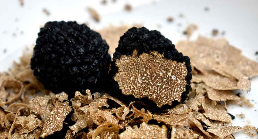 &nbsp;Les marchés aux truffes